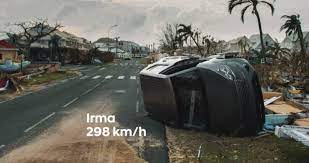 현대자동차 'Irma' 캠페인. ⓒ현대자동차